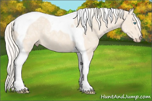 Horse Color:Cremello Ice Tobiano 