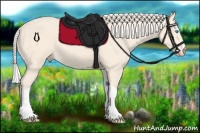 Horse Color:Silver Perlino Sabino Tobiano