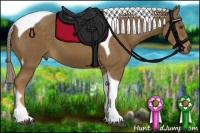 Horse Color:Chocolate Palomino Tobiano 