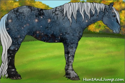 Horse Color:ERROR: UNKNOWN ANOMALY