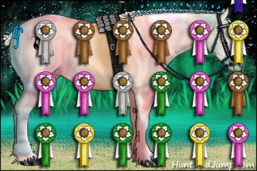 Horse Color:Cremello Tobiano 