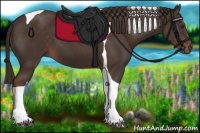 Horse Color:Liver Chestnut Tobiano 
