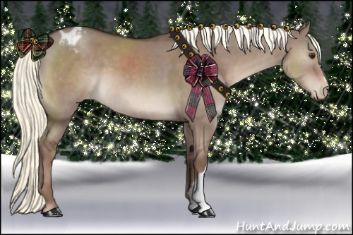 Horse Color:Liver Red Dun Appaloosa 