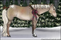 Horse Color:Liver Red Dun Appaloosa 