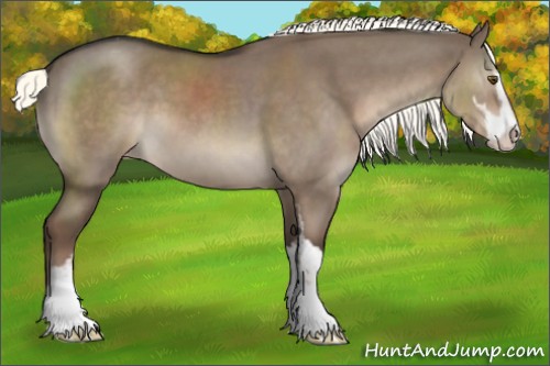 Horse Color:Liver Red Dun Mushroom Sabino Appaloosa 