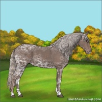 Horse Color:Silver Black Ice