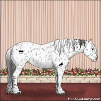 Horse Color:Grullo Ice Roan Leopard 