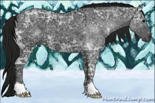 Horse Color:Gray Black Ice 