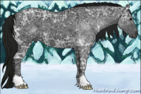Horse Color:Gray Black Ice