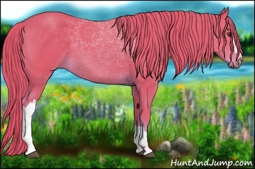 Horse Color:Watercolor Chestnut 