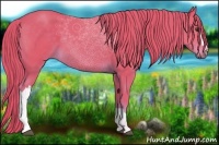 Horse Color:Watercolor Chestnut 