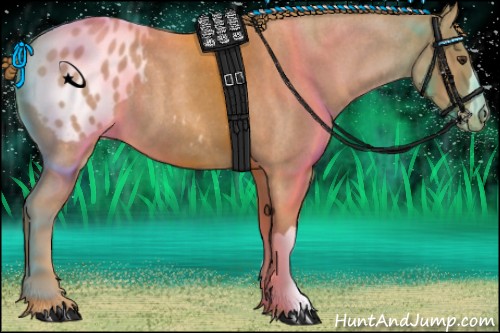 Horse Color:Red Roan Appaloosa 