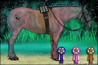 Horse Color:Blue Roan 