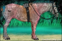 Horse Color:Liver Chestnut Ice 