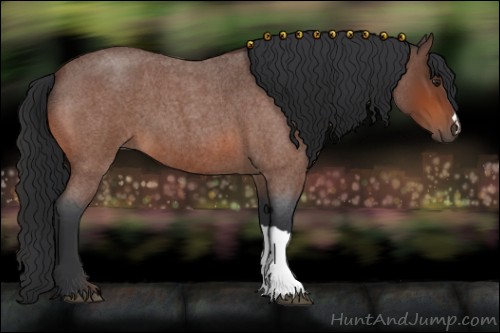 Horse Color:Bay Roan 