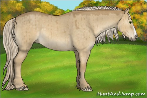 Horse Color:Palomino Roan Dun Mushroom Brindle