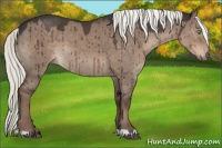 Horse Color:Liver Red Dun 