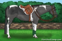 Horse Color:Black Tobiano 