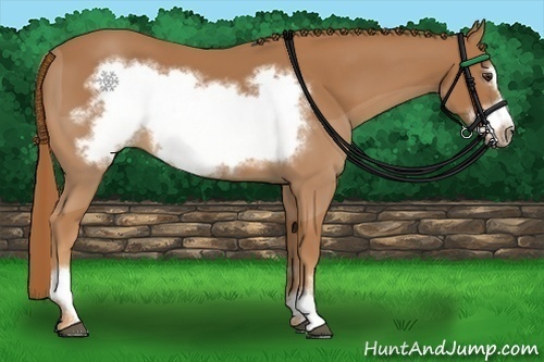 Horse Color:Chestnut Frame