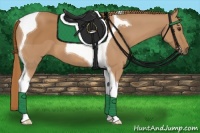 Horse Color:Chestnut Tobiano 