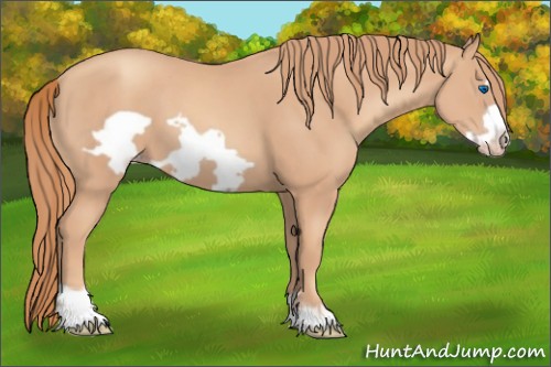 Horse Color:Gold Champagne Frame