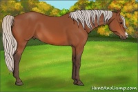 Horse Color:Silver Bay