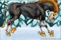 Horse Color:Black Splash