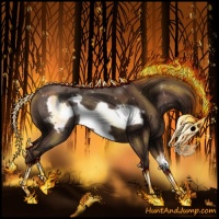 Horse Color:Liver Chestnut Frame 