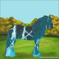 Horse Color:Thunderstruck Black