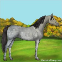 Horse Color:Smoky Blue Ice Roan 