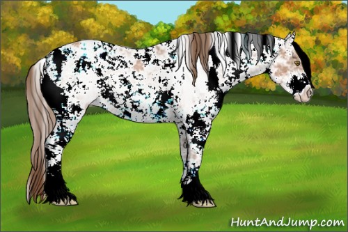 Horse Color:Brown Ice Pearl Sabino 