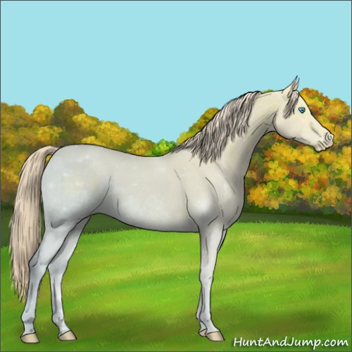 Horse Color:Smoky Creme Ice 