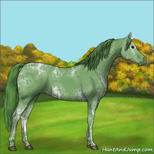 Horse Color:Watercolor Smoky Black Ice Rabicano 
