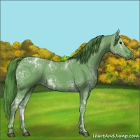 Horse Color:Watercolor Smoky Black Ice Rabicano 