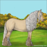 Horse Color:Silver Smoky Grullo 