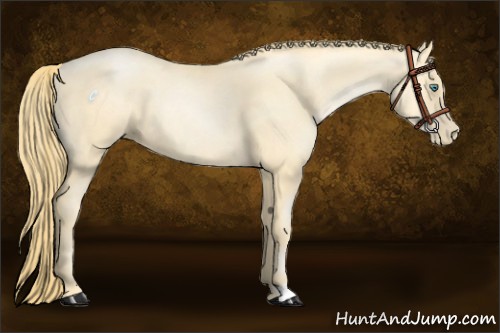 Horse Color:Smoky Black Pearl