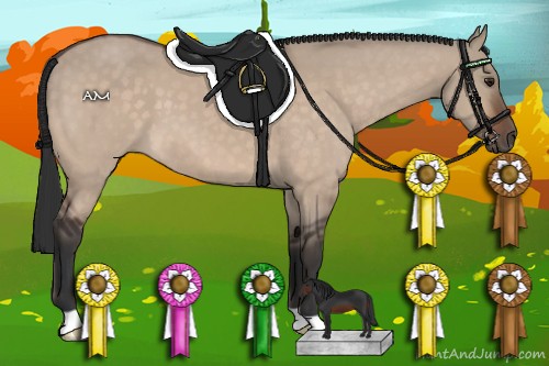 Horse Color:Brown Dun 