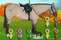 Horse Color:Brown Dun 