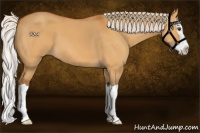 Horse Color:Silver Buckskin Dun Splash 
