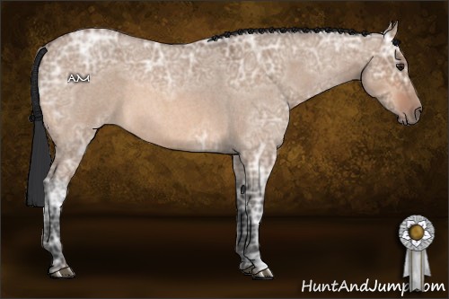 Horse Color:Brown Ice Roan Dun