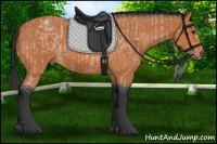 Horse Color:Bay Roan  and Bay 