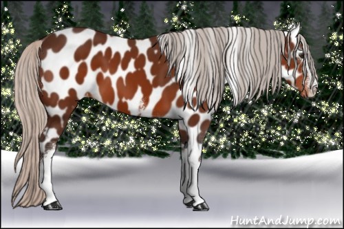 Horse Color:White Spotted Silver Brown Appaloosa