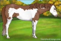 Horse Color:Chestnut Splash Frame