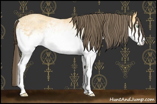 Horse Color:White Spotted Amber Cream Champagne 