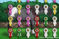 Horse Color:Blue Roan Appaloosa 