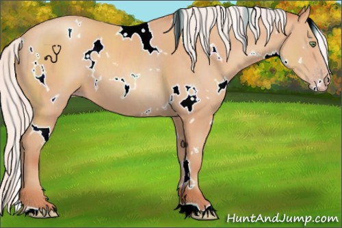 Horse Color:White Spotted Silver Amber Champagne