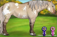 Horse Color:White Spotted Silver Bay Dun