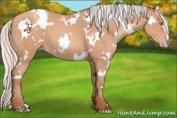 Horse Color:White Spotted Silver Amber Champagne 