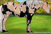 Horse Color:White Spotted Silver Classic Champagne
