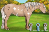 Horse Color:White Spotted Silver Classic Champagne